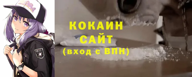 Кокаин Эквадор  shop какой сайт  Злынка 